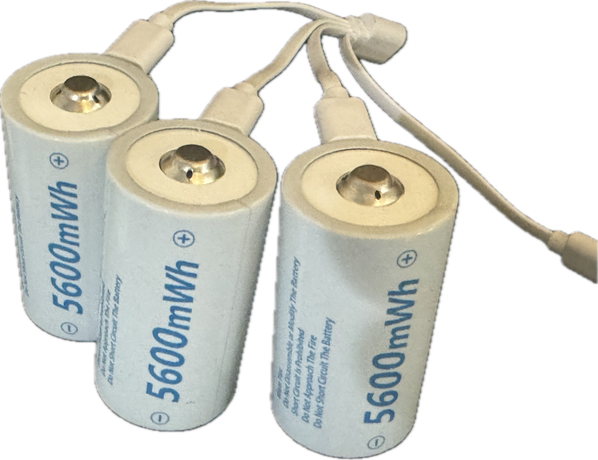 D3 D sized lithium rechargeable batteries