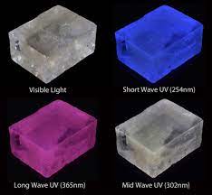 M102HO Shortwave 11 watt lamp with Display Stand