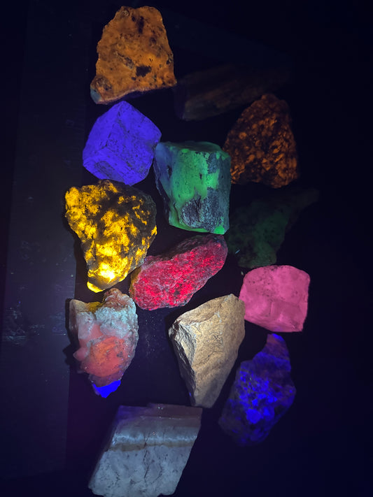 MC1 Longwave Fluorescent Collection