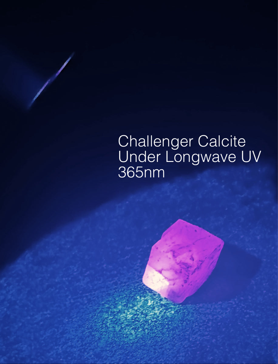 M12 Shortwave - Longwave UVC - UVA 255nm 365nm Ultraviolet Flashlight