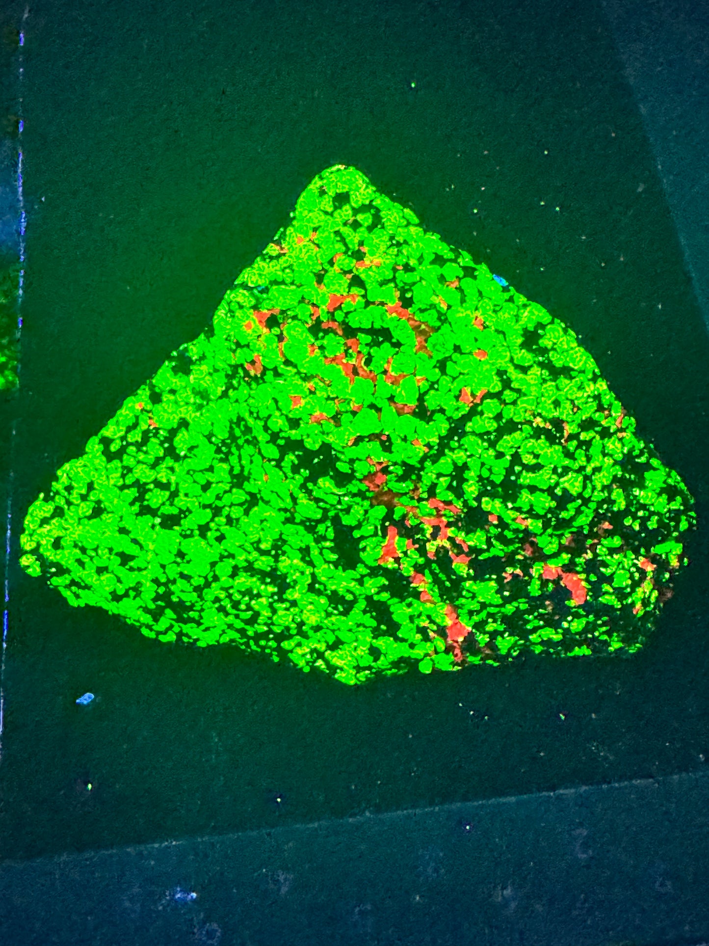 J9-fluorescente green willemite from New Jersey